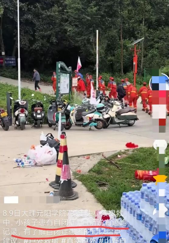 志愿者发声：有逃跑记录求寻找建议！新葡京娱乐城7岁自闭症男童苍山失联(图6)