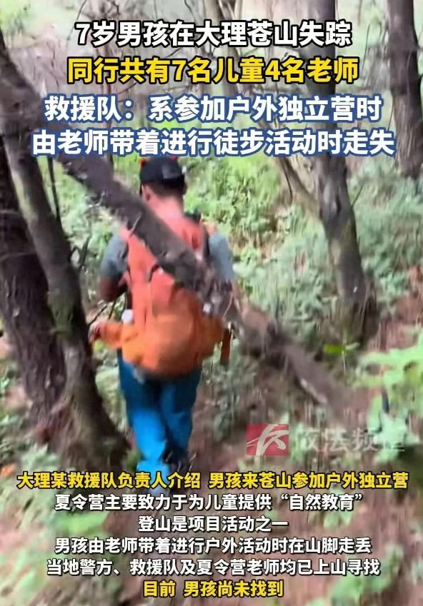 志愿者发声：有逃跑记录求寻找建议！新葡京娱乐城7岁自闭症男童苍山失联(图7)